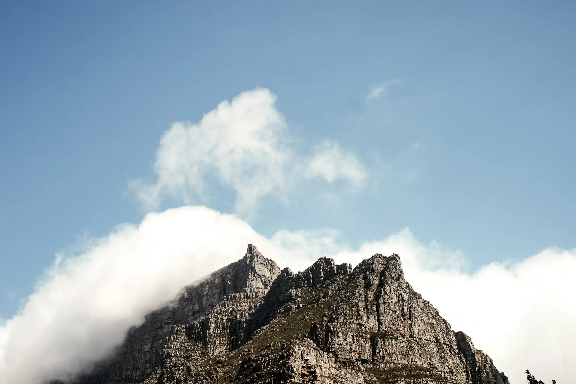 Southern African savanna landscape